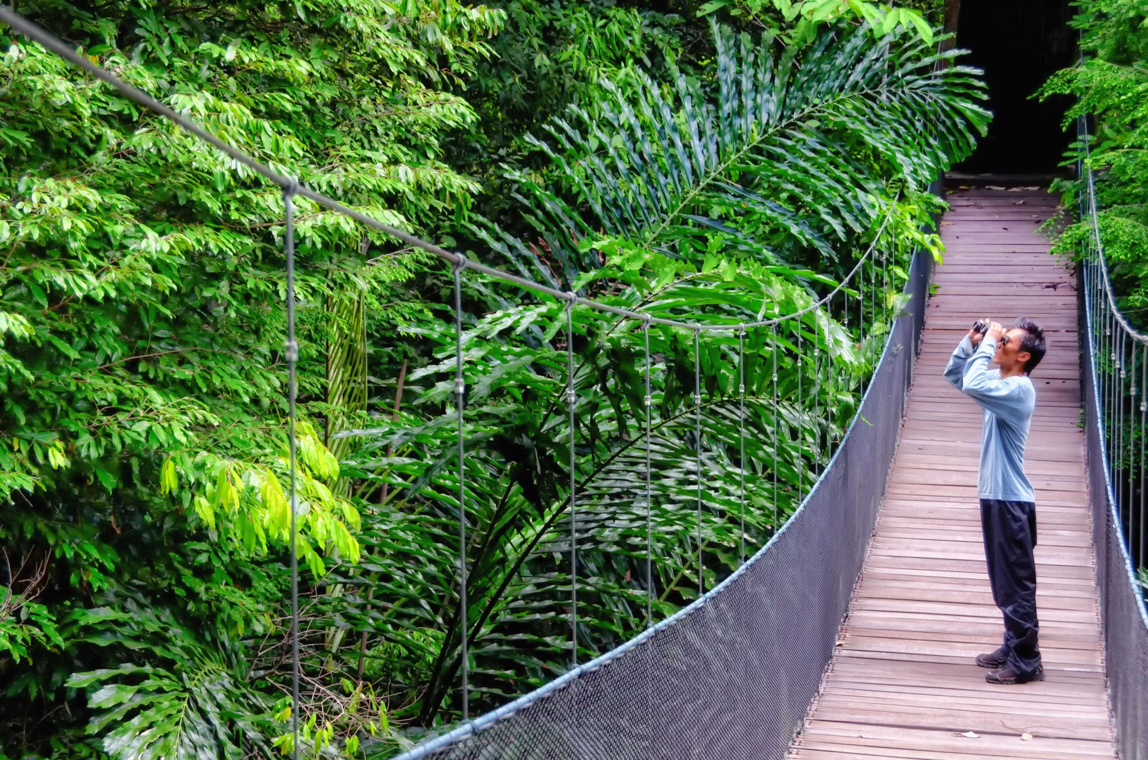Bunga Raya Island Resort & Spa Gaya Island Exterior foto