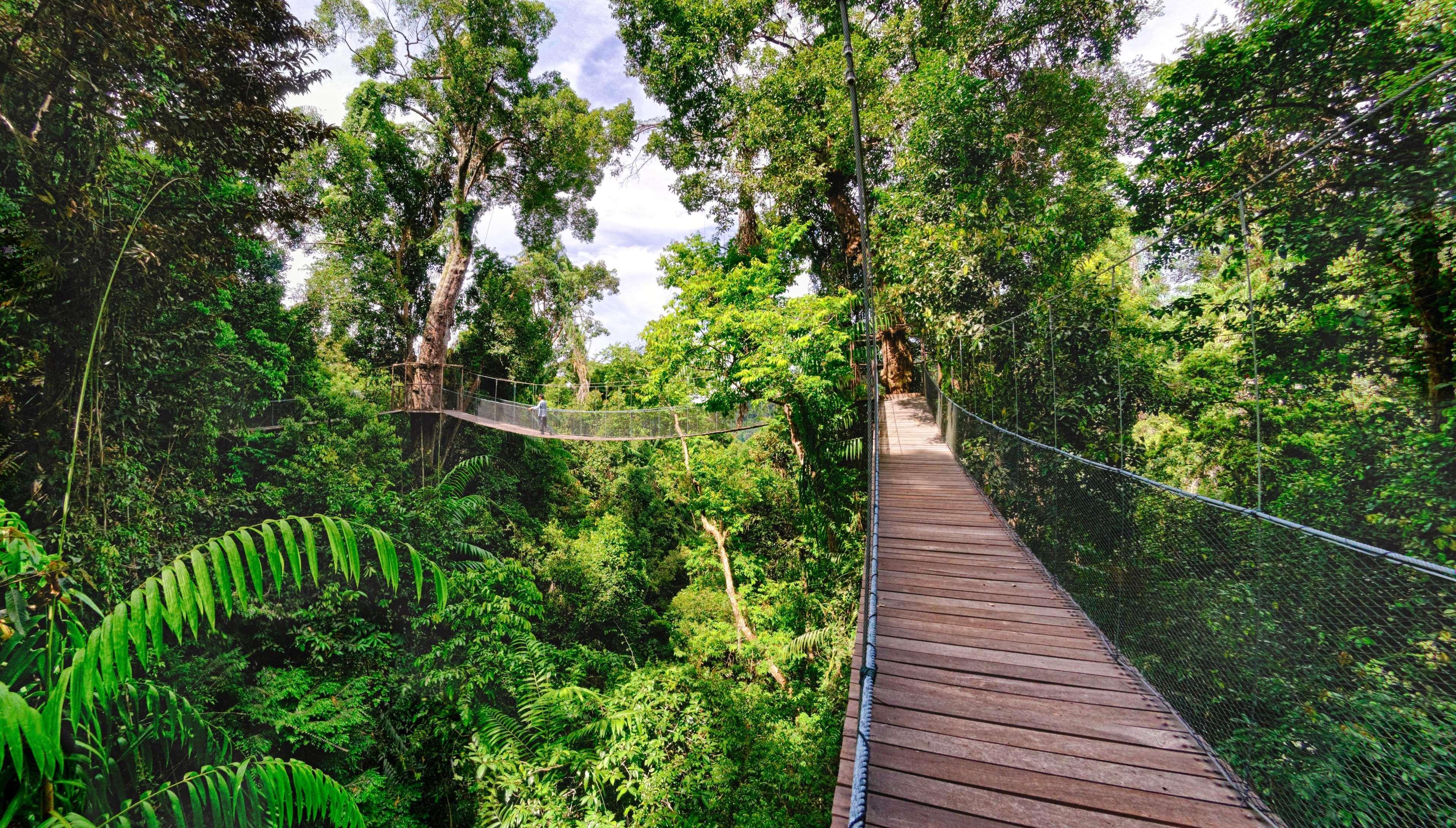 Bunga Raya Island Resort & Spa Gaya Island Exterior foto